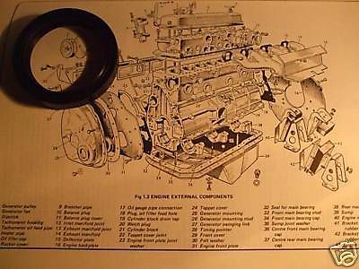 FRONT TIMING COVER ENGINE OIL SEAL (Austin A90 'Six' Westminster) (1954- 56)