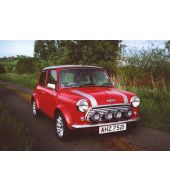 Mini Car Parts